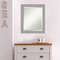 20" X 24" Brushed Nickel Framed Wall Mirror Silver - Amanti Art -Northlight Store GUEST 11934004 1547 4dcf 8025 6ae31d62ecea