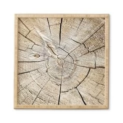 Lisa Argyropoulos Wood Cut Bamboo Framed Wall Art - Deny Designs -Northlight Store GUEST 130dd373 4286 4b79 b897 c65a04229e7c