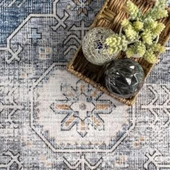 NuLOOM Eva Machine Washable Vintage Faded Medallion Area Rug -Northlight Store GUEST 1ca4a623 d7c0 46dc b0ea 9d71e45022e4