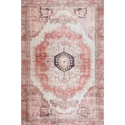 NuLOOM Vintage Minna Area Rug 15 NuLOOM Vintage Minna Area Rug -Northlight Store GUEST a521a85a e6bd 421e 9eed 2f7726d252a5