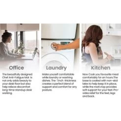 Northlight Store -Northlight Store GUEST e98881c4 57f4 4401 8c9d a198f19f09ea