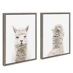 2pc Sylvie Alpaca Front And Back Framed Canvas Wall Art By Amy Peterson Gray - Kate And Laurel